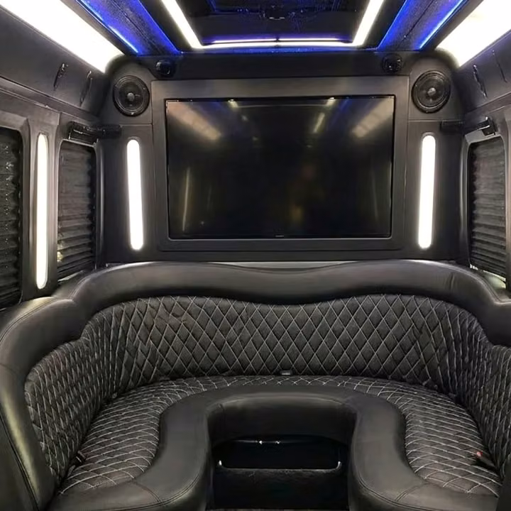 alabaster party bus sound system